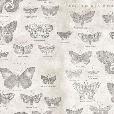 Butterflies