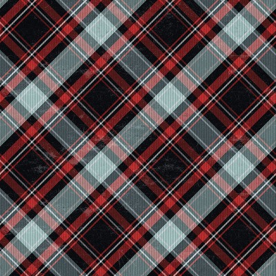 Winter Plaid (flannel)