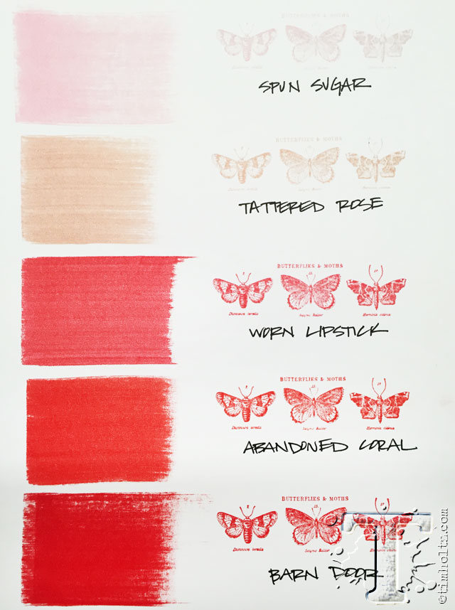 Abandoned Coral Distress Oxide Ink Pad – Layle By Mail